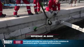 Une trottinettes électriques remontées du port de Marseille