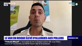 Le Var en risque élevé d'allergies aux pollens