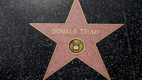 L'étoile à l'effigie de Donald Trump sur Hollywood Boulevard.