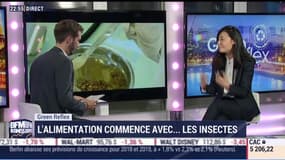 Green Reflex: l'alimentation commence avec les insectes - 10/10