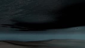 VIDEOGRAPHIE – Qu’est-ce que la pollution marine aux hydrocarbures ?