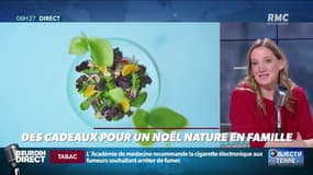 Objectif Terre : Des cadeaux pour un Noël nature en famille - 13/12