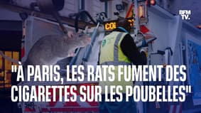 Cet éboueur du sud de la France raconte pourquoi il a refusé de monter ramasser les poubelles à Paris