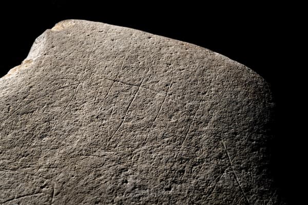 Bloc de grès gravé d'Angoulême (-12 000 ans), détail de la ligne dorsale d'un cheval. Bloc de grès gravé d'Angoulême (-12 000 ans), détail de la ligne dorsale d'un cheval.