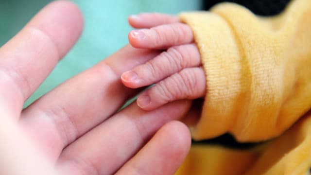 La main d'un nouveau-né sur celle de sa maman, le 17 septembre 2013 à Lens. (illustration)