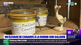 Robine-sur-Galabre: un élevage de canards à la veille des fêtes de fin d'année