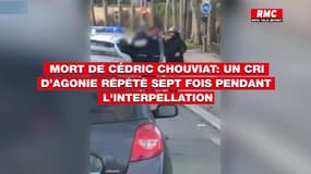 Mort de Cédric Chouviat: "J’étouffe", un cri d’agonie répété sept fois pendant l'interpellation