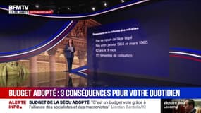 Réforme des retraites, arrêts de travail, congé de naissance: voici trois conséquences pour votre quotidien après l'adoption du budget de la Sécu