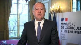 " Le marché c'est l'endroit où l'agriculture française passe 30% de sa production de frais, de fruits et légumes", a affirmé le ministre Didier Guillaume.