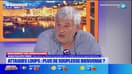 Mouvement des agriculteurs - Attaques loups : plus de souplesse bienvenue ? 