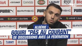 Algérie : Gouiri "pas au courant" de discussions avec la fédération 