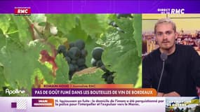 Incendies en Gironde : pas de goût fumé dans les bouteilles de vin de Bordeaux