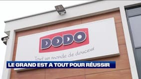 Le Grand Est a tout pour réussir : Dodo - 12/04