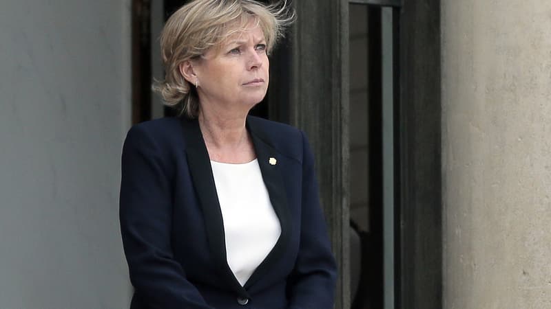 Sylvie Hubac sur le perron de l'Elysée le 31 mai 2013.