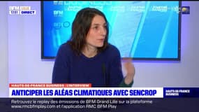 Hauts-de-France Business du mardi 21 mars - Sencrop, l'agriculture connectée à la météo