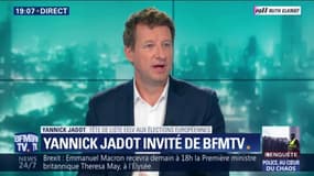 Yannick Jadot, tête de liste EELV, sur la transition écologique: "Le gouvernement doit avoir le courage d'agir"