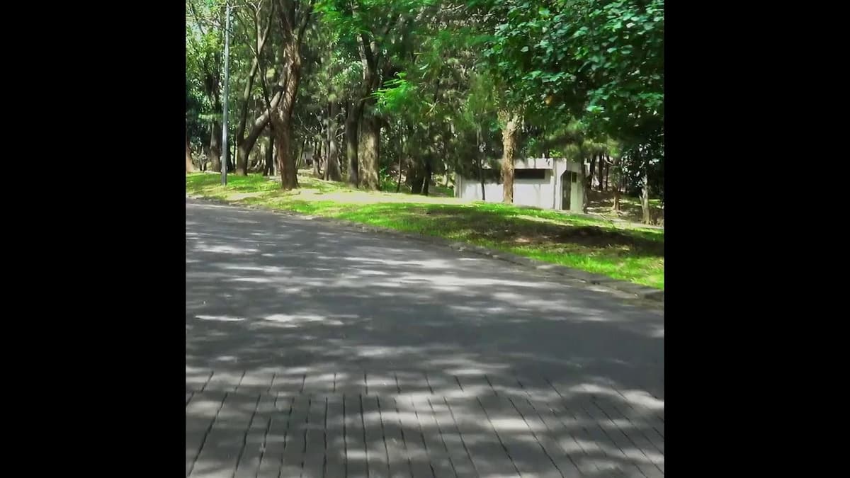 placeholder video