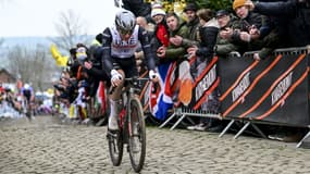 Tadej Pogacar sur le Tour des Flandres 2023