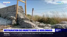 Pas-de-Calais: la restauration des murets historiques dans le Boulonnais