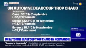 Normandie: une saison d'automne parmi les plus chaudes jamais enregistrées en 2023