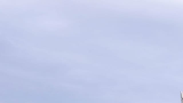 Les anciens abattoirs du 15e arrondissement de Marseille, où devait être construite la grande mosquée de la ville.