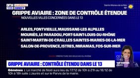 Bouches-du-Rhône: une zone de contrôle étendue après des cas de grippe aviaire chez des cygnes