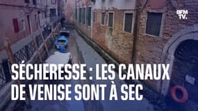 Sécheresse: à Venise, les canaux sont à sec à cause d'une marée basse d'une durée exceptionnelle