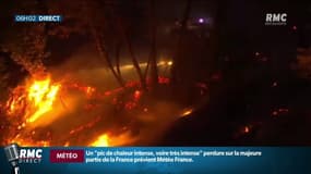 Anglet: 100 hectares de pinède partis en fumée après un incendie dans la forêt de Chiberta
