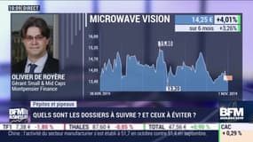 Pépites & Pipeaux: Microware Vision - 01/11
