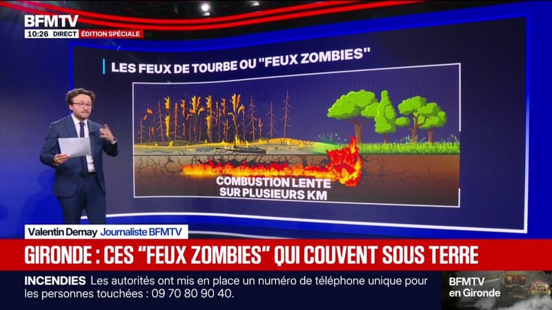 Qu'est-ce que les feux de tourbe ou "feux zombies"?
