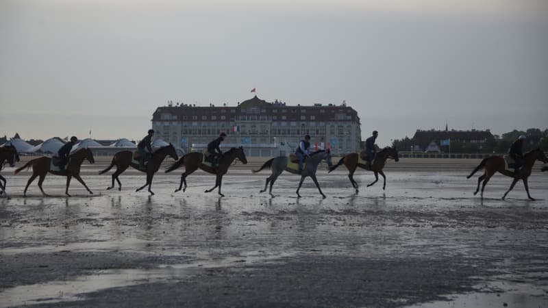 En venant à Deauville, les cavaliers pourront profiter d'une spécificité locale : la balade sur la plage. 