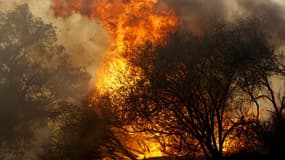 Le feu à Malibu, le 11 novembre 2018