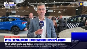 Salon de l'Automobile de Lyon: un centre d'essais géant de plus de 350 voitures