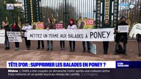 Lyon: à la Tête d'Or, des militants de la cause animale manifestent pour la fin des balades à poney