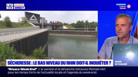 Alsace: les conséquences de la sécheresse sur le commerce fluvial sur le Rhin