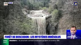 Accidents ou interventions criminelles? Une série de disparitions dans la forêt de Boscodon pose toujours question