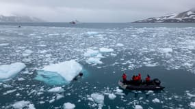 Des plongeurs de la marine colombienne prélèvent des échantillons sur l'île Livingston, dans les îles Shetland du Sud, en Antarctique, le 27 janvier 2024. Photo d'illustration 