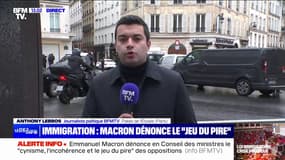 Loi immigration: Emmanuel Macron dénonce "le cynisme, l'incohérence et le jeu du pire" des socialistes et des LR