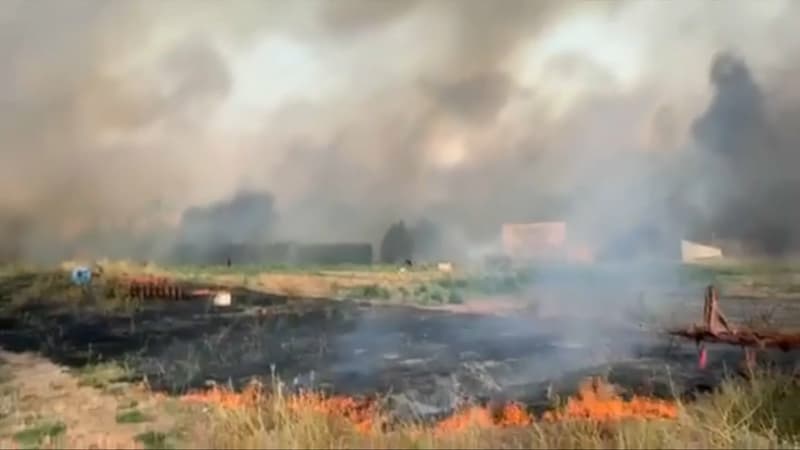 Des vignobles de l'Hérault et du Gard ont été fortement brûlés après la forte canicule de vendredi.