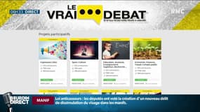 "Le vrai débat", le site internet lancé par des "gilets jaunes"