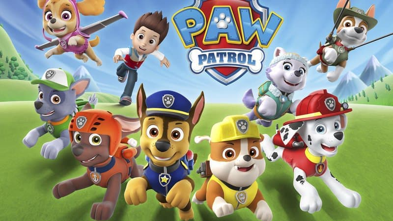Le dessin animé Pat'Patrouille (Paw patrol en anglais)