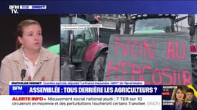 Opposition d'Emmanuel Macron au traité UE-Mercosur: "Pour moi, c'est une opposition de façade", affirme Mathilde Hignet (LFI)