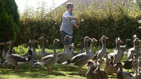 Dominique Douthe prenant soin de ses canards et ses oies à Souston, dans les Landes, le 2 septembre 2019