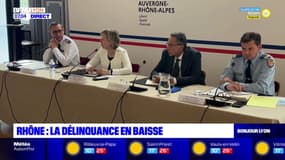 Rhône: la délinquance en baisse dans la région