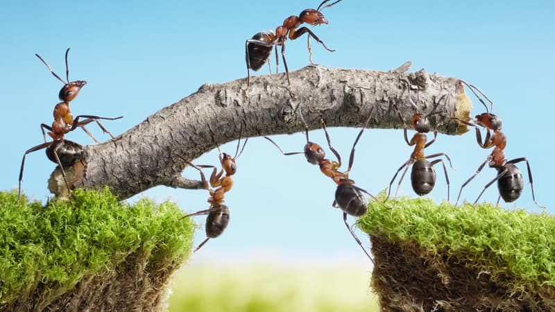Coaching d’Entreprises : peut-on considérer la crise comme une opportunité ?