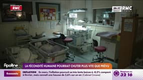 La fécondité humaine pourrait chuter plus vite que prévu
