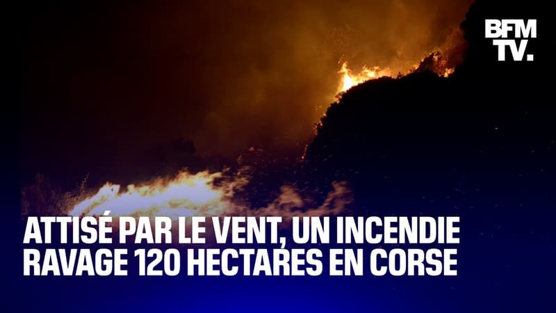 Corse: attisé par les vents violents, un incendie a ravagé au moins 120 hectares cette nuit