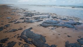 Marée noire sur une plage de Pirambu au Brésil, le 25 septembre 2019