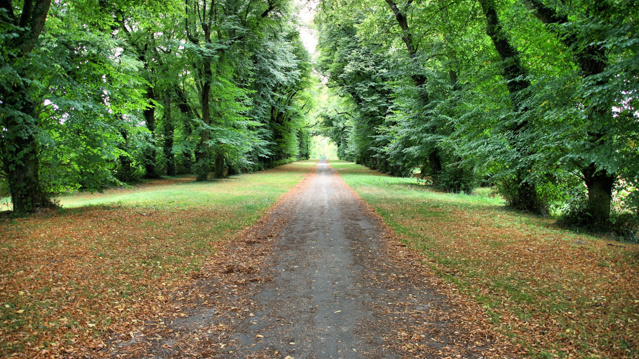 Rambouillet Rambouillet