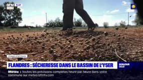Flandres: fin de l'alerte sécheresse renforcée dans le bassin de l'Yser